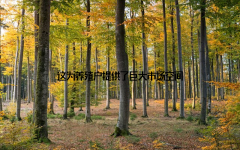 这为养殖户提供了巨大市场空间