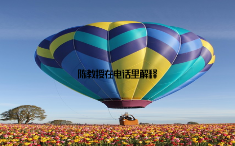 陈教授在电话里解释