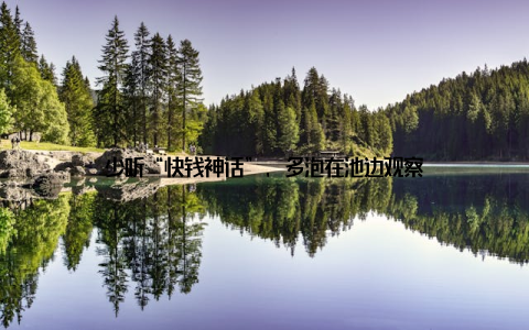 少听“快钱神话”, 多泡在池边观察