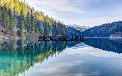 最触动我的是生态变化