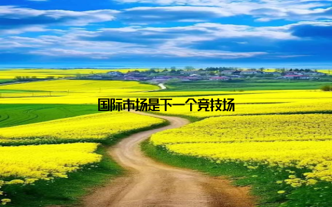 国际市场是下一个竞技场