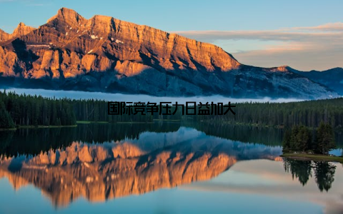 国际竞争压力日益加大