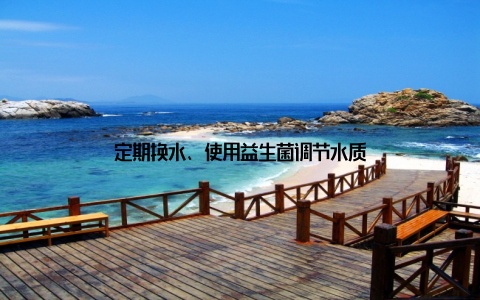 定期换水、使用益生菌调节水质