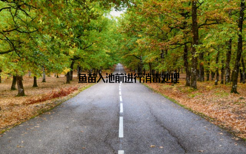 – 鱼苗入池前进行消毒处理