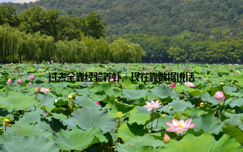 过去全靠经验养虾, 现在靠数据说话