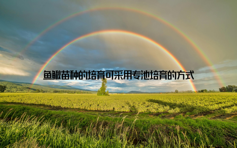 鱼鳅苗种的培育可采用专池培育的方式