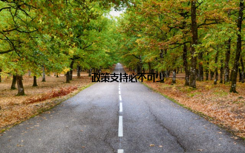 – 政策支持必不可少