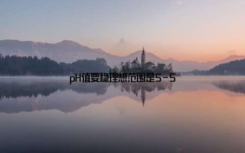 pH值要稳理想范围是5-5