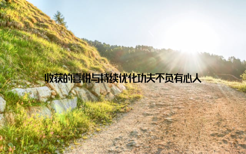 收获的喜悦与持续优化功夫不负有心人