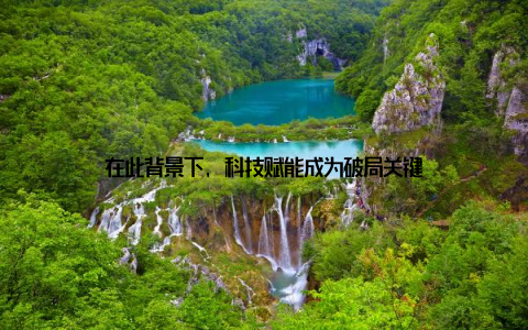 在此背景下, 科技赋能成为破局关键