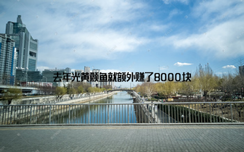 去年光黄颡鱼就额外赚了8000块