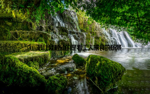 ” 最让我触动的是看工人喂食的场景