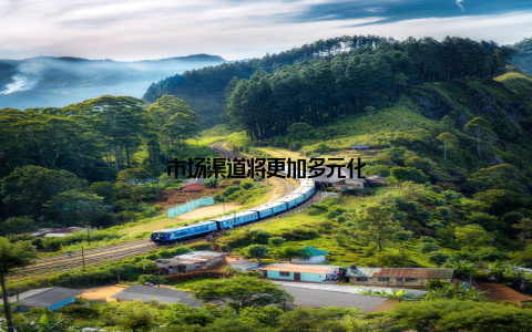 市场渠道将更加多元化