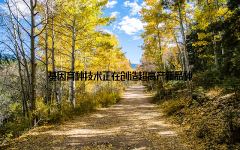 基因育种技术正在创造超高产新品种