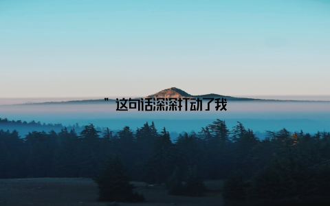 ”这句话深深打动了我