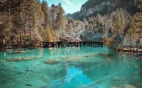 日常管理记录同样不可忽视