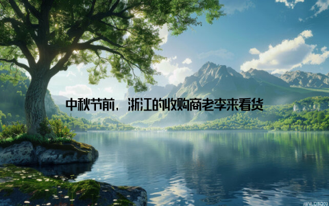中秋节前, 浙江的收购商老李来看货