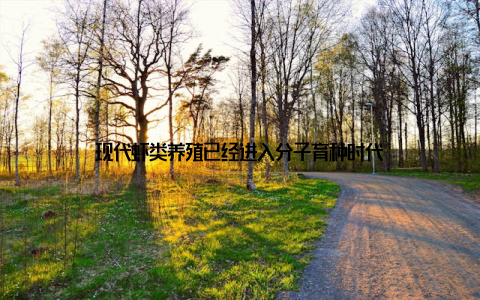 现代虾类养殖已经进入分子育种时代