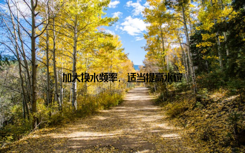 加大换水频率, 适当提高水位