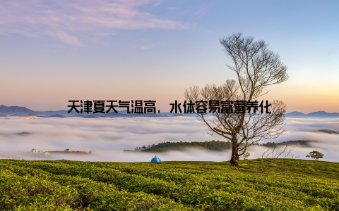 天津夏天气温高, 水体容易富营养化