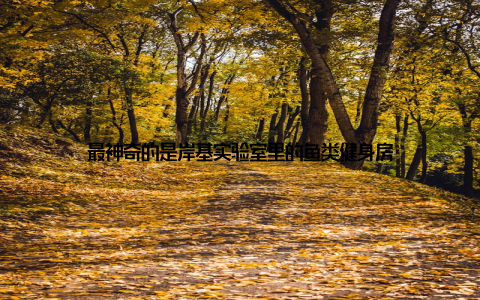 最神奇的是岸基实验室里的鱼类健身房