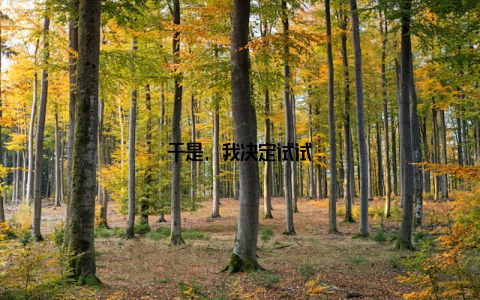 于是, 我决定试试