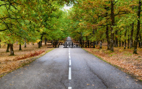 三是产业链深度融合