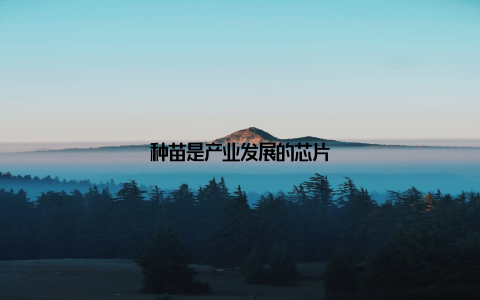 种苗是产业发展的芯片