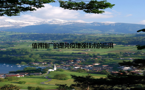 值得推广的是免疫增强技术的应用