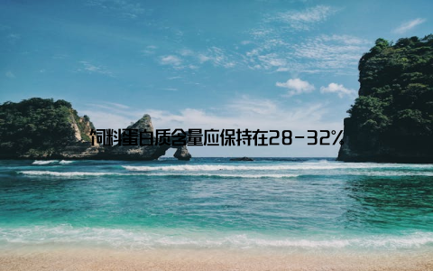 饲料蛋白质含量应保持在28-32%