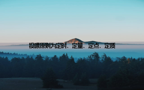 投喂原则为定时、定量、定点、定质