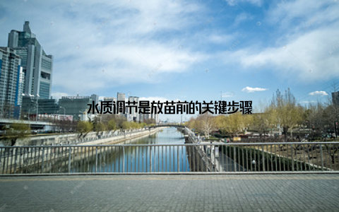 水质调节是放苗前的关键步骤