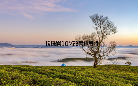 – 珍珠岩10%改善透气性