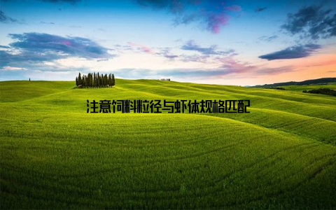 注意饲料粒径与虾体规格匹配