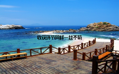 收获环节同样一丝不苟