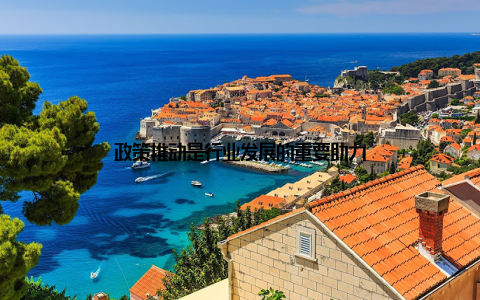 政策推动是行业发展的重要助力