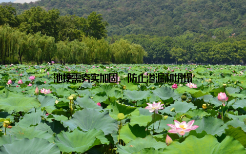 池埂需夯实加固, 防止渗漏和坍塌