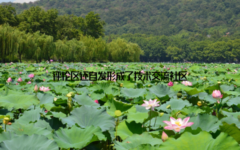 评论区还自发形成了技术交流社区