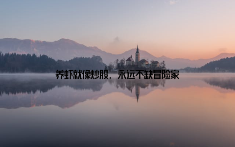 养虾就像炒股, 永远不缺冒险家