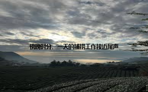 傍晚时分, 一天的捕捞工作接近尾声