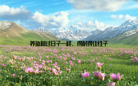 养鱼和过日子一样, 得耐得住性子