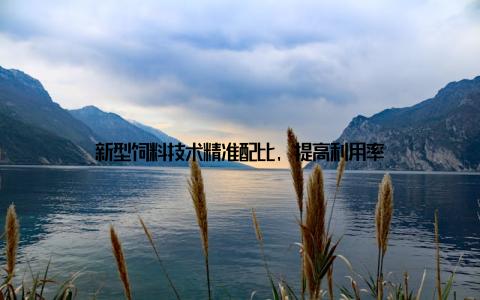 新型饲料技术精准配比, 提高利用率