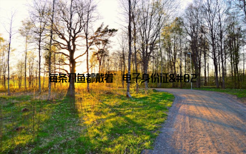 每条刀鱼都戴着’电子身份证’