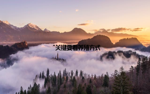 “关键要看养殖方式