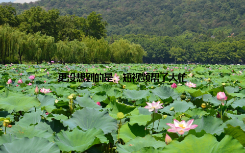 更没想到的是, 短视频帮了大忙